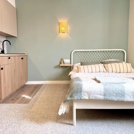 Summer 1-bedroom With View Appartement *
