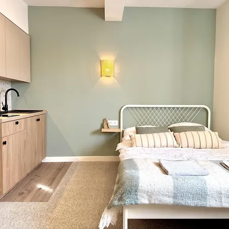 Summer 1-bedroom With View Appartement